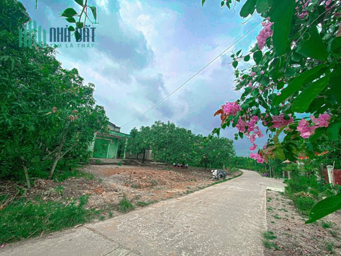 Bán đất Đồng Nai view Hồ Trị An giá rẻ