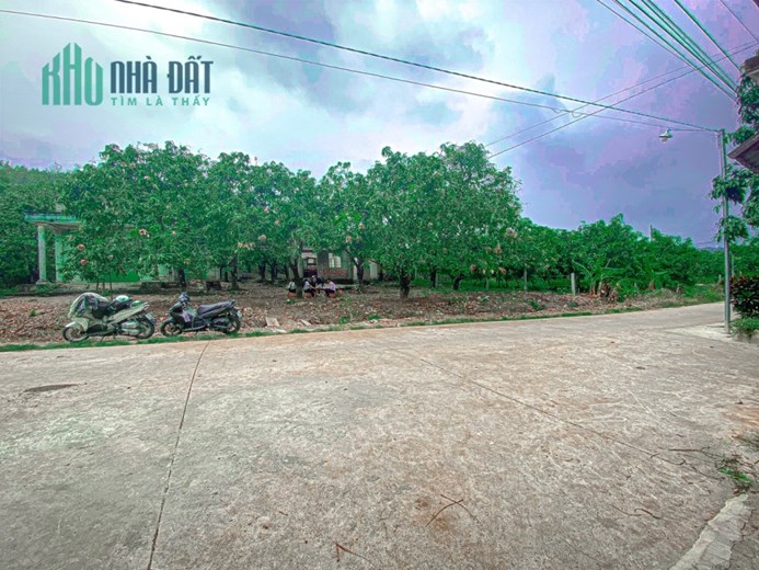 Bán đất Đồng Nai view Hồ Trị An giá rẻ