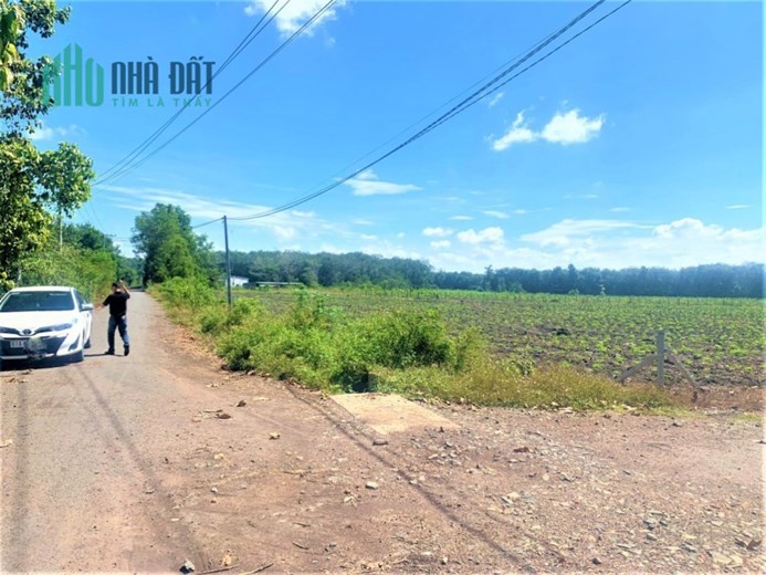CHÍNH CHỦ BÁN GẤP LÔ ĐẤT THỔ CƯ 200m2 SHR NGAY TRUNG TÂM  GIÁ 170TR/NỀN