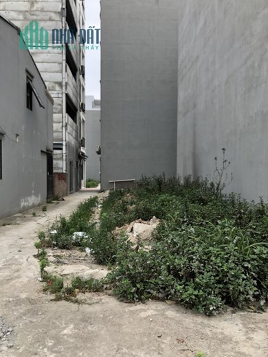 Bán đất Sài Đồng, Lô góc, Ô tô, 54 m2, MT 5,4 m, giá chỉ 4 tỷ.