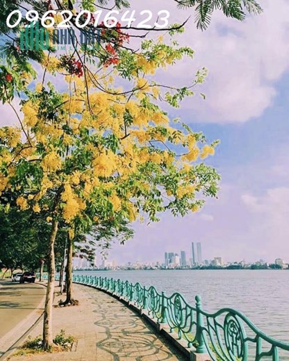 💥 Mặt Phố Nghi Tàm Tây Hồ, 27Tỷ 145m Mặt Tiền 5m 6 Tầng, Kinh Doanh Tòa Văn Phòng Công Ty Mới Đẹp💥