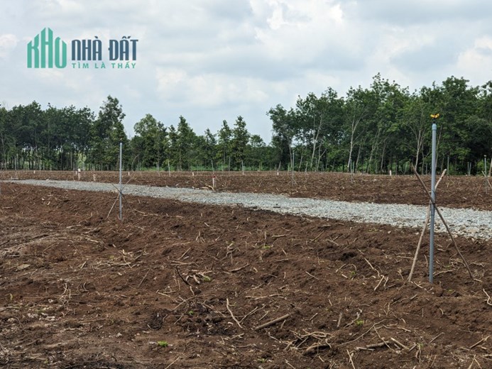 Xem là ưng ngay 3330m2 đất vườn - sổ hồng riêng giá rẻ bèo ở Tây Ninh