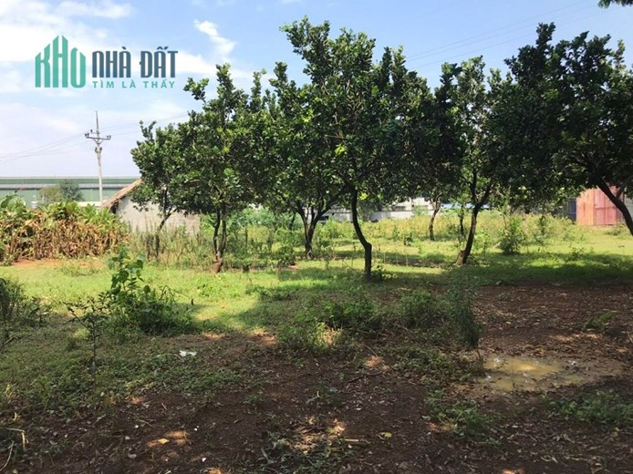 CHÍNH CHỦ BÁN NHANH LÔ ĐẤT RỘNG ĐẸP CÓ 1-0-2 TẠI LƯƠNG SƠN - GIÁ RẺ