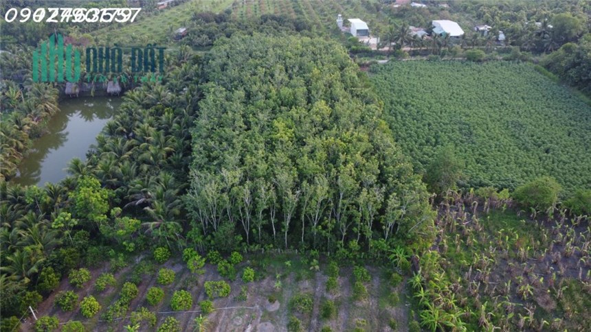 Bán Gấp Vườn cao su đặc - dự án đầy tiềm năng tại Thị Xã Hoà Thành