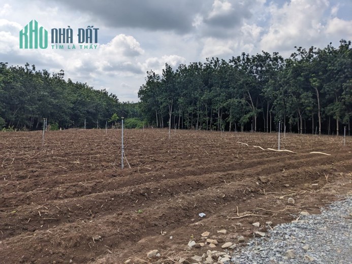 BÁN MẢNH ĐẤT HƠN 3 CÔNG NGAY ẤP AN THỌ