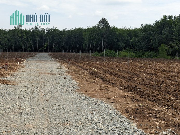 Cần bán một miếng đất nở hậu, giá rẻ, chủ bán thân thiện, nhiệt tình.