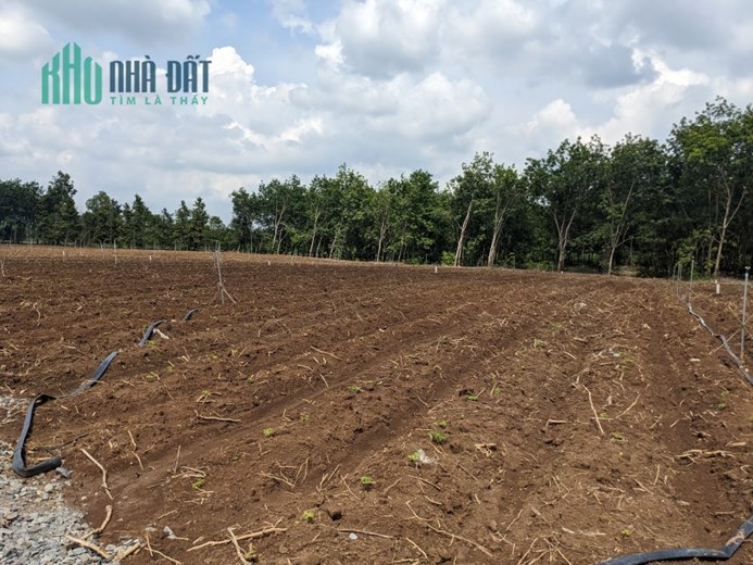 ĐẤT SÀO HIẾM CÓ, TRƯỚC LÀ ĐƯỜNG RỘNG, SAU LÀ RẠCH NƯỚC TẠI TÂY NINH