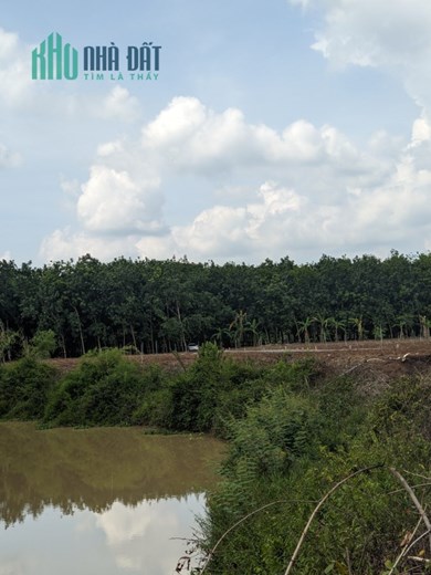 Bán gấp 3320m2 đất vườn nhà giá rẻ, view suối, Gần ngay KDL núi Bà Đen