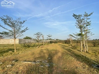 CHO THUÊ 3 Ha ĐẤT HỒ TRÀM - BÌNH CHÂU KINH DOANH GLAMPING - CAMPING- HOMESTAY - TRẢI NGHIỆM..