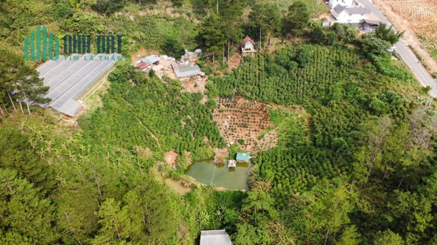 ( Đất view đẹp ) Cần bán gấp lô đất nghỉ dưỡng ven Đà Lạt mặt tiền Tỉnh lộ 726 Đạ Nghịt 2.1 ha
