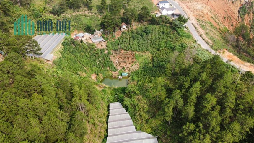 ( Đất view đẹp ) Cần bán gấp lô đất nghỉ dưỡng ven Đà Lạt mặt tiền Tỉnh lộ 726 Đạ Nghịt 2.1 ha