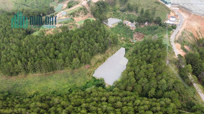 ( Đất view đẹp ) Cần bán gấp lô đất nghỉ dưỡng ven Đà Lạt mặt tiền Tỉnh lộ 726 Đạ Nghịt 2.1 ha