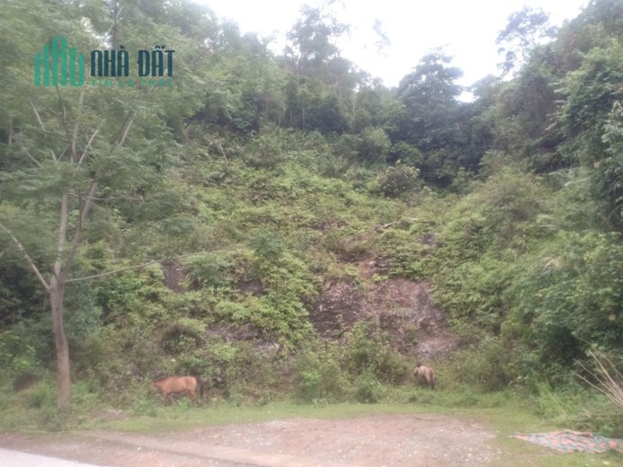 Đất nền Y Tý- mảnh đất diện tích cực rộng giá rẻ sát suối Mường Hum