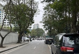 95m 8 Tầng Doanh Thu 1,2 Tỷ 1 Năm Trung Tâm Quận Ba Đình.16 Phòng Cho Thuê. Vỉa Hè Đá Bóng. Ô Tô
