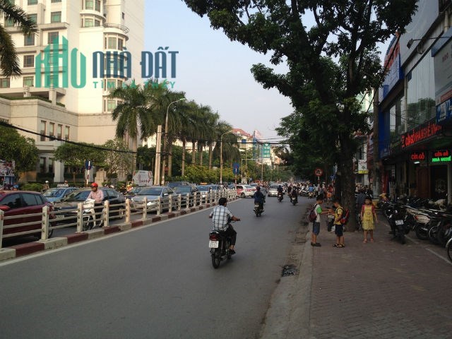 Bán nhà phố Cát Linh, Đống Đa, 208 triệu/m2, 120m, mặt tiền 7m, 2 tầng, kinh doanh, giá
