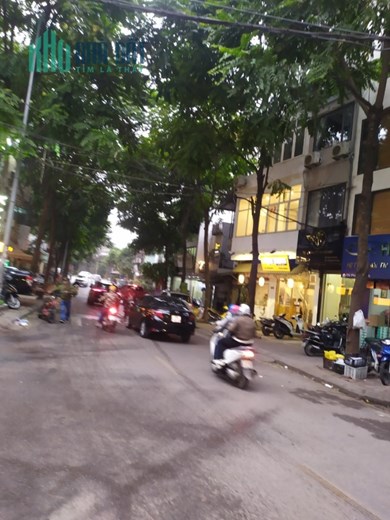 50m Mặt Tiền 5m Mặt Phố Phan Kế Bính Ba Đình. Kinh Doanh Đỉnh Cao. Chủ Mong Muốn Bán Nhanh