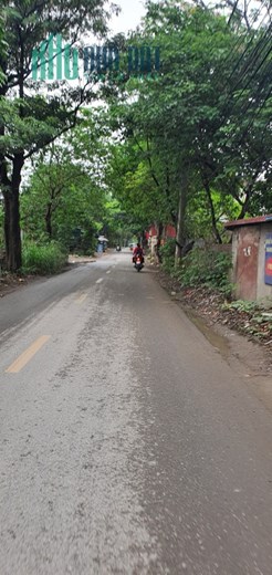 Bán nhà Hoàng Tăng Bí- Thụy Phương 52m, lô góc, oto đõ cửa, ngõ thông, kinh doanh,xây ccmn, giá chỉ