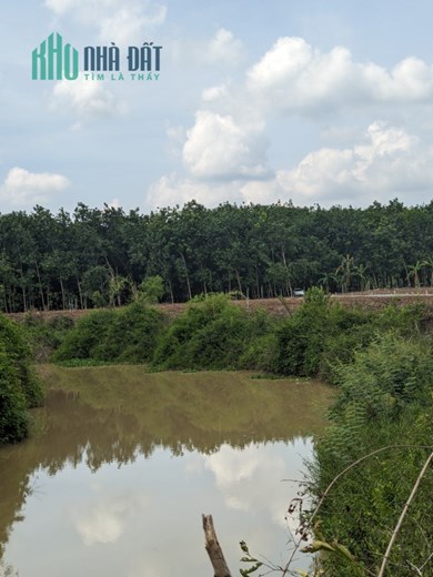 Đất ngộp! Cần giải cứu gấp lô đất siêu đẹp với giá hạt dẻ
