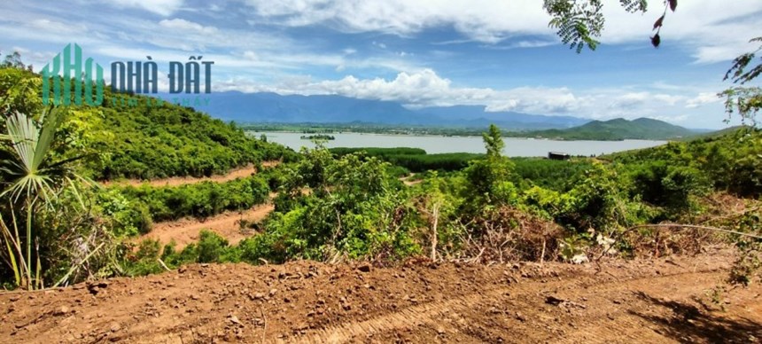 Cần bán 8 ha đất rừng sản xuất view hồ Suối Trầu cực đẹp