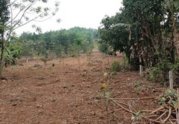 CẦN BÁN LÔ ĐẤT ĐẸP TẠI TP HOÀ BÌNH