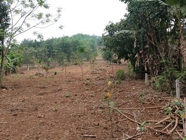 CẦN BÁN LÔ ĐẤT ĐẸP TẠI TP HOÀ BÌNH