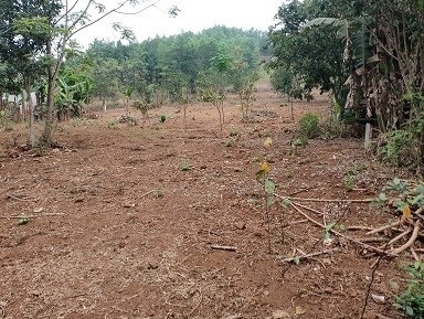 CẦN BÁN LÔ ĐẤT ĐẸP TẠI TP HOÀ BÌNH