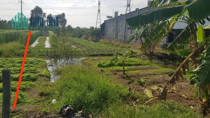 CHÍNH CHỦ BÁN LÔ ĐẤT RỘNG ĐẸP CÓ 1-0-2 TẠI LAI VUNG - GIÁ RẺ ĐẦU TƯ