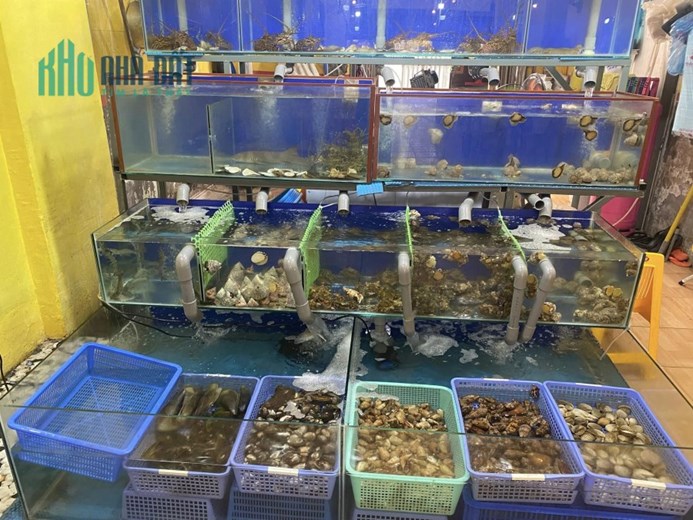 Mình cần sang nhượn lại quán NHẬU HẢI SẢN ĐC 32 Đường Củ Chi- Vĩnh Hải- Nha Trang