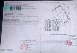 Cần bán gấp đất SKC quy hoạch cao tầng, TMDV-VP tại tân hiệp hóc môn - dtkv 7.500m2 giá cực rẻ chỉ