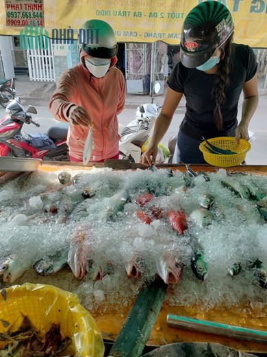 CẦN SANG NHƯỢNG LẠI CỬA HÀNG HẢI SẢN ĐƯỜNG LÊ VĂN LƯƠNG PHƯỚC KIỂN NHÀ BÈ