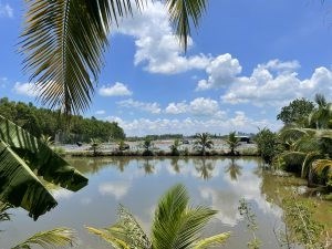 Chính Chủ Cần Bán Gấp Khu Đất Nuôi Trồng Thủy Sản Vị Trí Đẹp Tại Long An