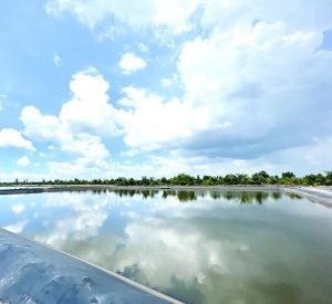 Chính Chủ Cần Bán Gấp Khu Đất Nuôi Trồng Thủy Sản Vị Trí Đẹp Tại Long An