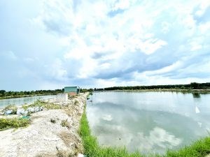 Chính Chủ Cần Bán Gấp Khu Đất Nuôi Trồng Thủy Sản Vị Trí Đẹp Tại Long An