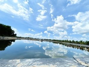 Chính Chủ Cần Bán Gấp Khu Đất Nuôi Trồng Thủy Sản Vị Trí Đẹp Tại Long An