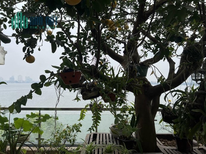180m 6 Tầng 2 Mặt Phố Nguyễn Đình Thi Và Thụy Khuê Tây Hồ. Kinh Doanh Cực Đỉnh. Chủ Cần Bán Gấp