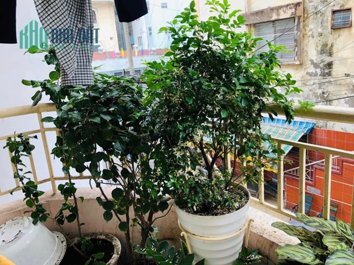 Bán nhà Thành Thái,p14,Q10 98m2 ngang 10 chỉ 16.8ty tl