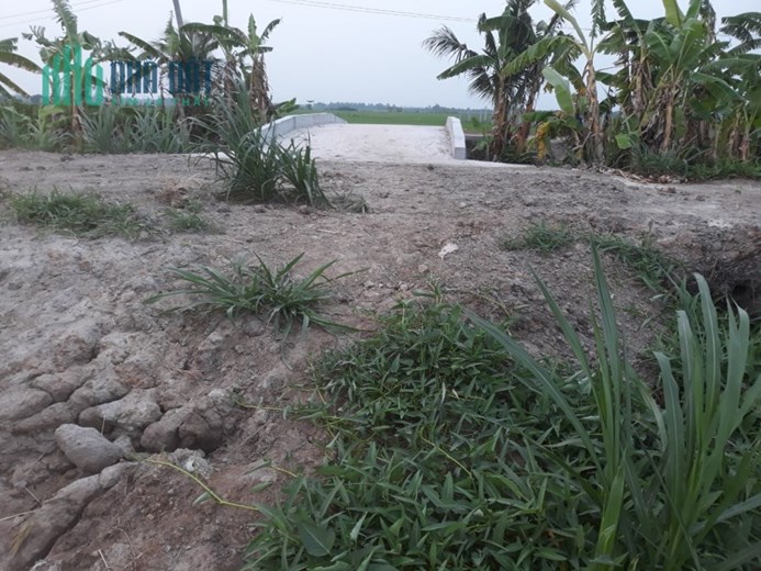 CHÍNH CHỦ CẦN BÁN 3 LÔ ĐẤT RUỘNG LIỀN KỀ – ĐƯỜNG ĐẸP-GIÁ RẺ