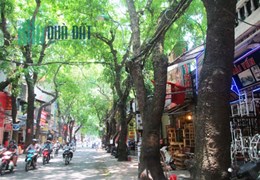 Tôi cần Bán gấp Mảnh Đất Rộng 100m2 - 8 tỷ Đê La Thành giá, SĐCC