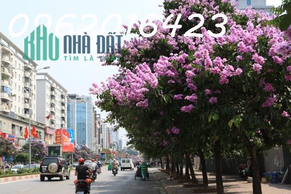 💥Mặt Phố Hoa Bằng Cầu Giấy, 12.6tỷ 68m Mt 4.2m, Lô Góc 3 Thoáng Vỉa Hè Kinh Doanh💥