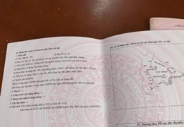 Chính chủ cần tiền bán nhanh 3 Lô đất Tại Thôn Đền Giếng – Xã Hồng Kỳ– Huyện Yên Thế - Tỉnh Bắc