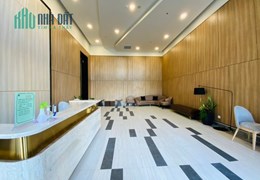 Bán căn hộ 1PN nhà full nội thất 53m2 giá chỉ 4.2 tỷ tổng giá Nguyễn Văn Linh Q7 - Dự án Lavida Plus