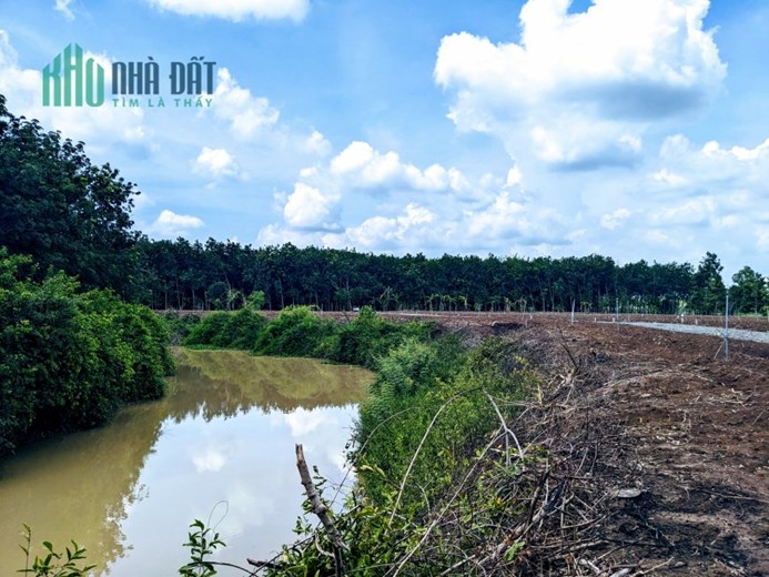 Siêu phẩm Đất Sào Mặt Tiền Đường Ô Tô - Giá chỉ 394 nghìn/m2