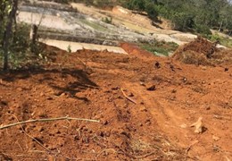 CHÍNH CHỦ BÁN ĐẤT SỔ HỒNG RIÊNG GIÁ RẺ MT QL28