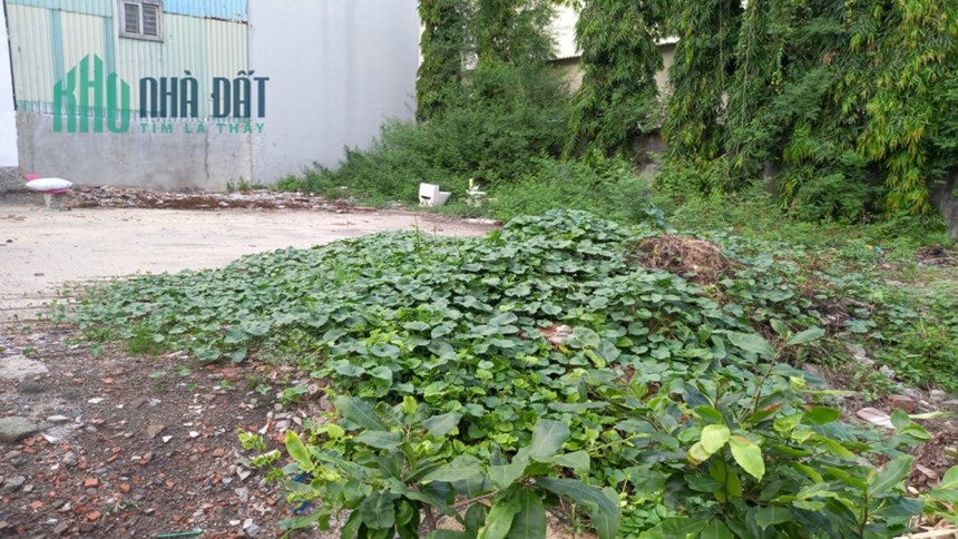 Bán 90m2 đất Ngộp Hà Huy Giáp phường Thạnh Xuân Quận 12, chỉ 3.65 tỷ
