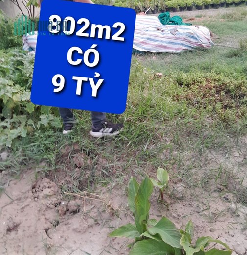 802m Đất KDC Phú Nhuận Lê Thị Riêng Quận 12 có 9 tỷ