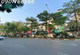 Bán lô đất hiếm, Mặt Phố Trần Thái Tông, Quận Cầu Giấy , 175m, Giá 95 Tỷ.