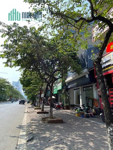 Bán lô đất hiếm, Mặt Phố Trần Thái Tông, Quận Cầu Giấy , 175m, Giá 95 Tỷ.
