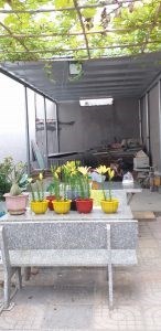 Chính Chủ Cần Bán đất Diện Tích tại Rộng tại Vũng Tàu