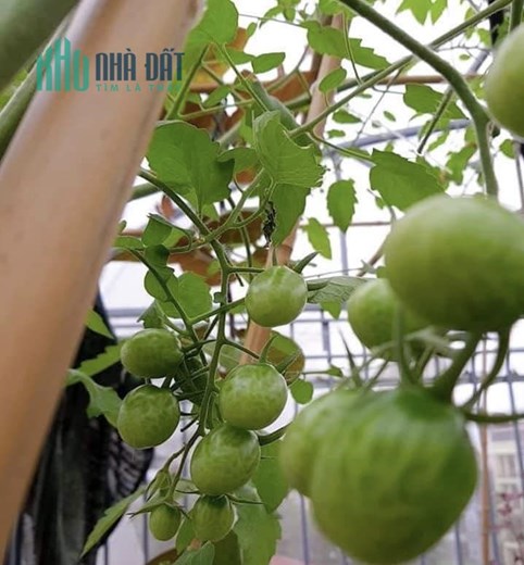 Bán Nhà nhà đẹp ở ngay phố Nguyễn Chánh 45m x 5t, 10m ô tô tránh, KD, ở sướng nhỉnh 6 tỷ