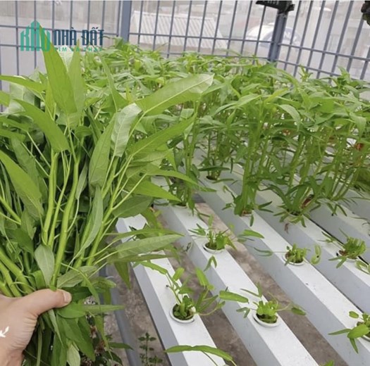 Bán Nhà nhà đẹp ở ngay phố Nguyễn Chánh 45m x 5t, 10m ô tô tránh, KD, ở sướng nhỉnh 6 tỷ